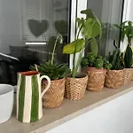 Appartement Saboliro