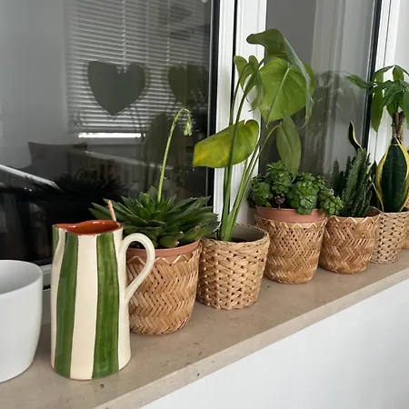 Appartement Saboliro